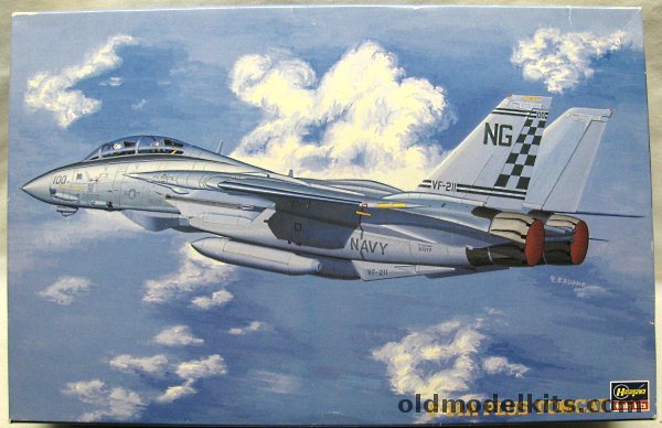 Hasegawa 1/48 Grumman F-14A Plus Tomcat - US Navy VF-211 USS Nimitz / VF-74 USS Saratoga / VF-143 and with TwoBobs VF-32 Decals, P23 plastic model kit